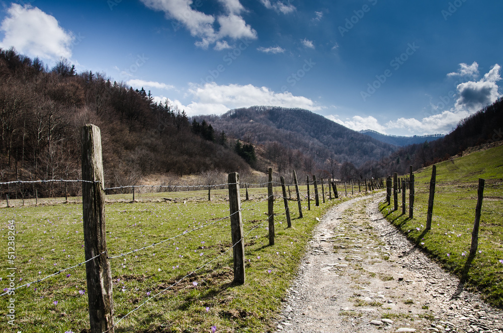 Fototapeta premium sentiero di campagna