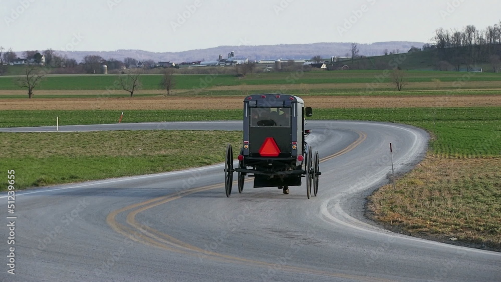 Amish Horse and Carriage Amish Horse and Carriage