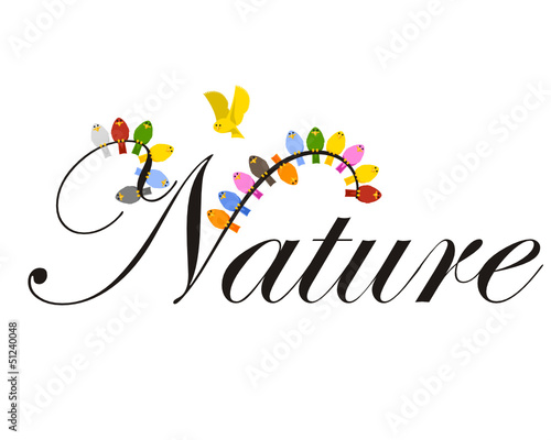 natura uccellini