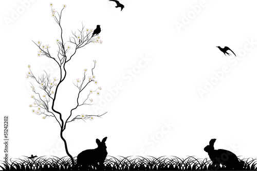 rabbits and birds near cherry tree blossom