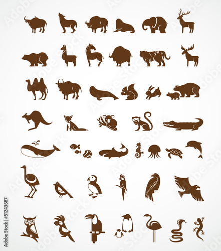 vector collection of animal icons
