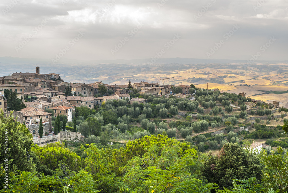 Montalcino (Tuscany)