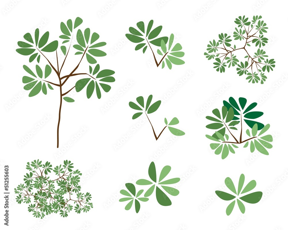 A Set of Isometric Green Trees and Plants