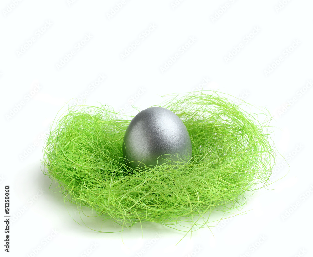 Obraz premium Silver egg in green nest