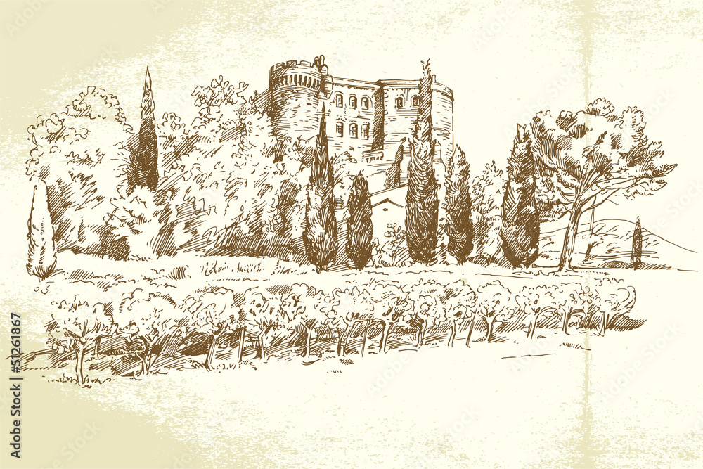 Vineyard France - hand drawn illustration