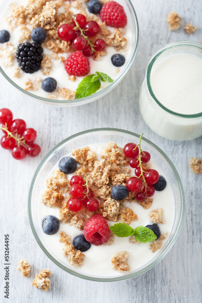 healthy breakfast with yogurt and granola healthy breakfast with yogurt and granola