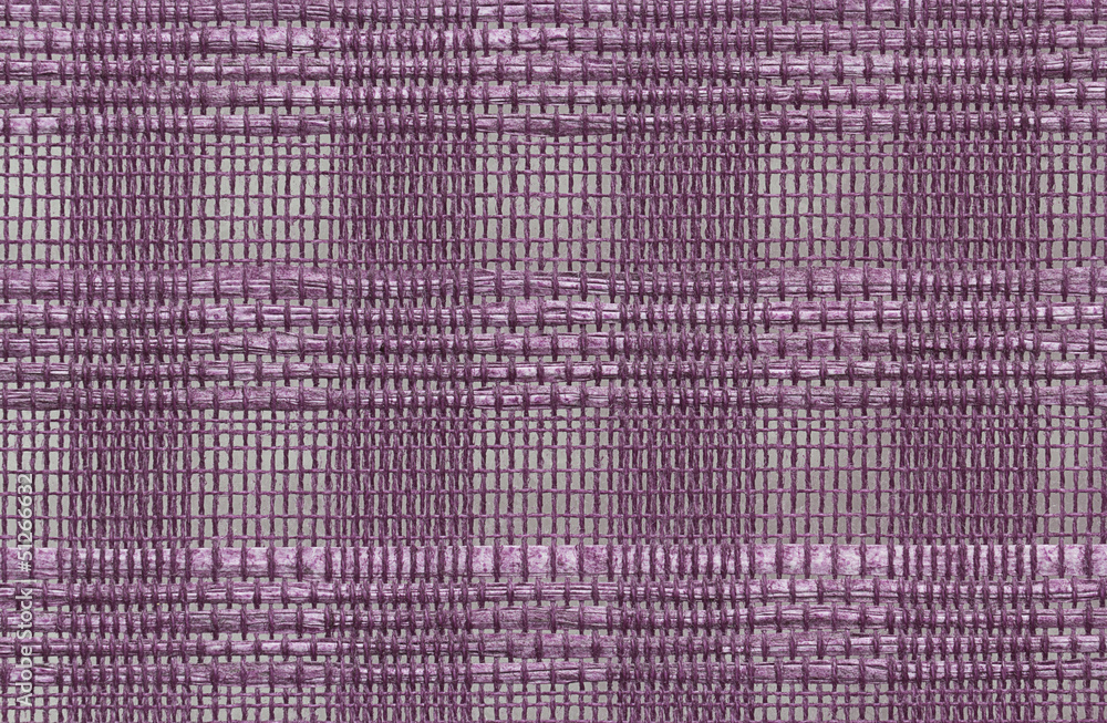 Fototapeta premium Texture Grid 