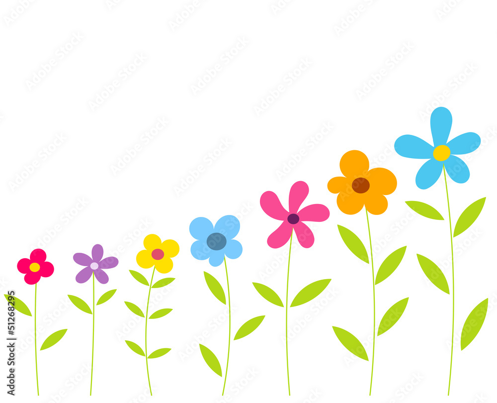Flowers row Flowers row