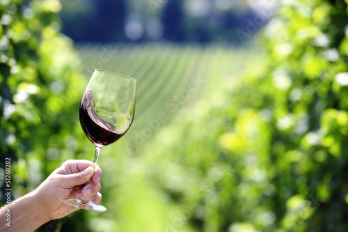 Red wine swiveling in a glass, vineyard in the background