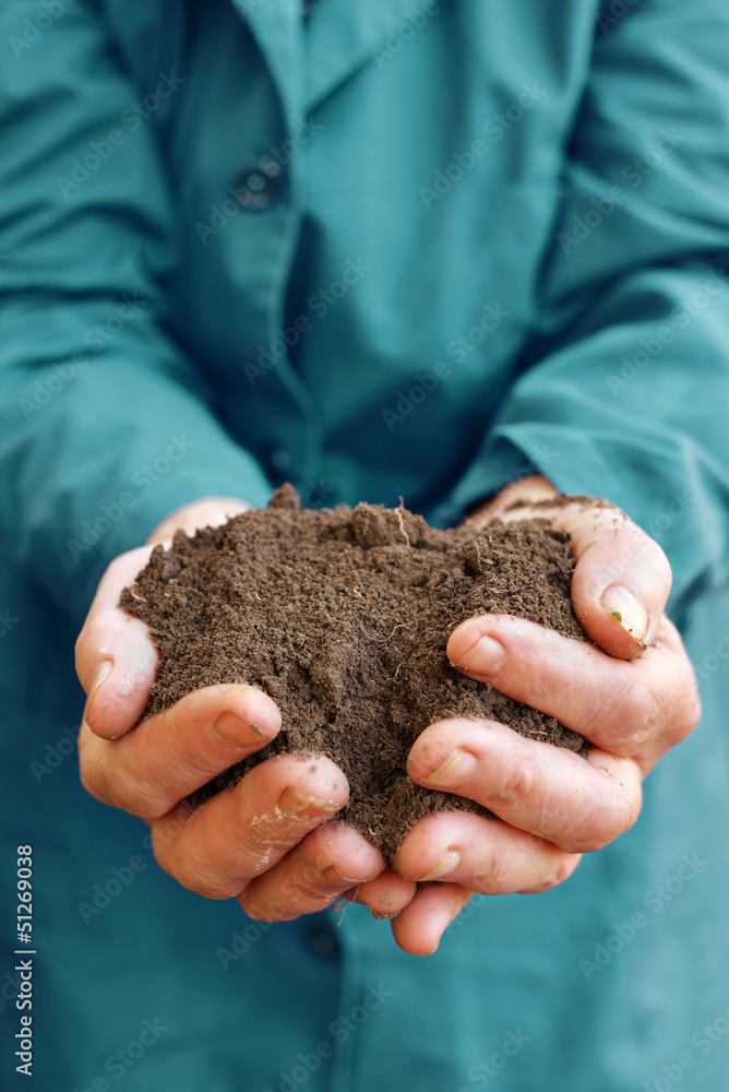 Soil in hands of agricultural worker
