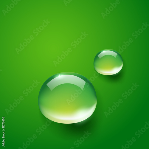 water drops on green