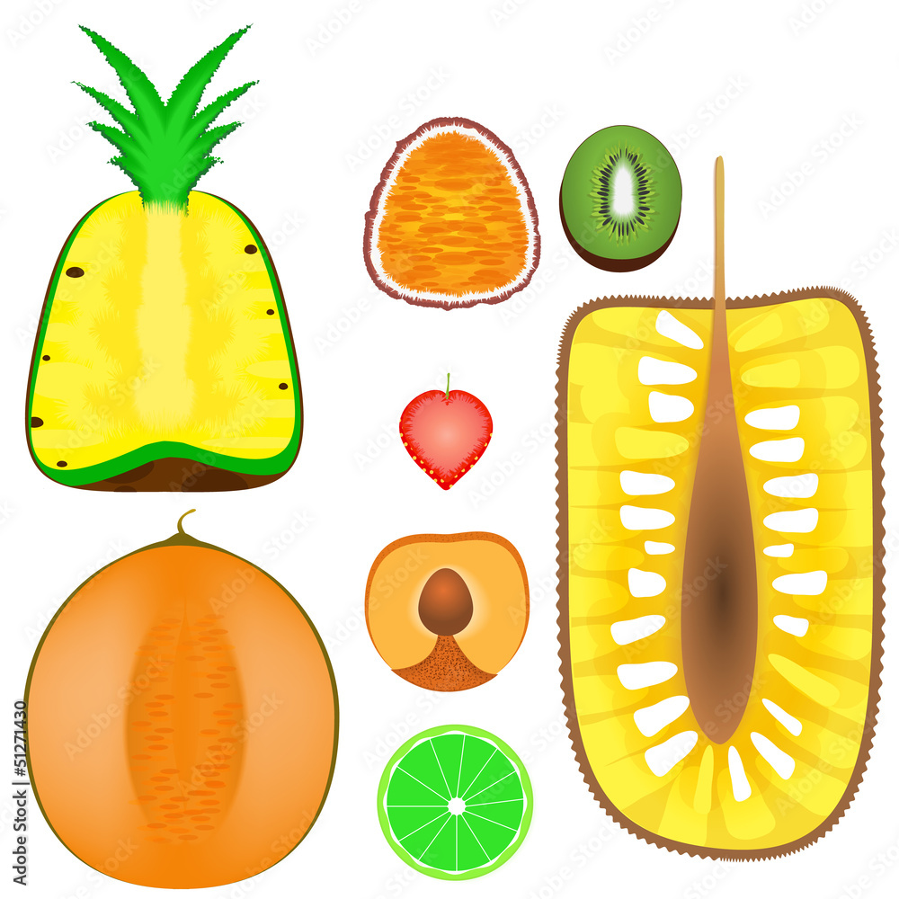fruits were cut as pieces Stock Vector | Adobe Stock