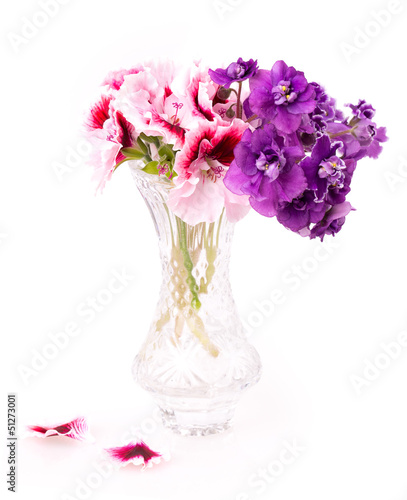 Fototapeta Naklejka Na Ścianę i Meble -  violet and geranium flowers