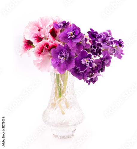 Fototapeta Naklejka Na Ścianę i Meble -  violet and geranium flowers