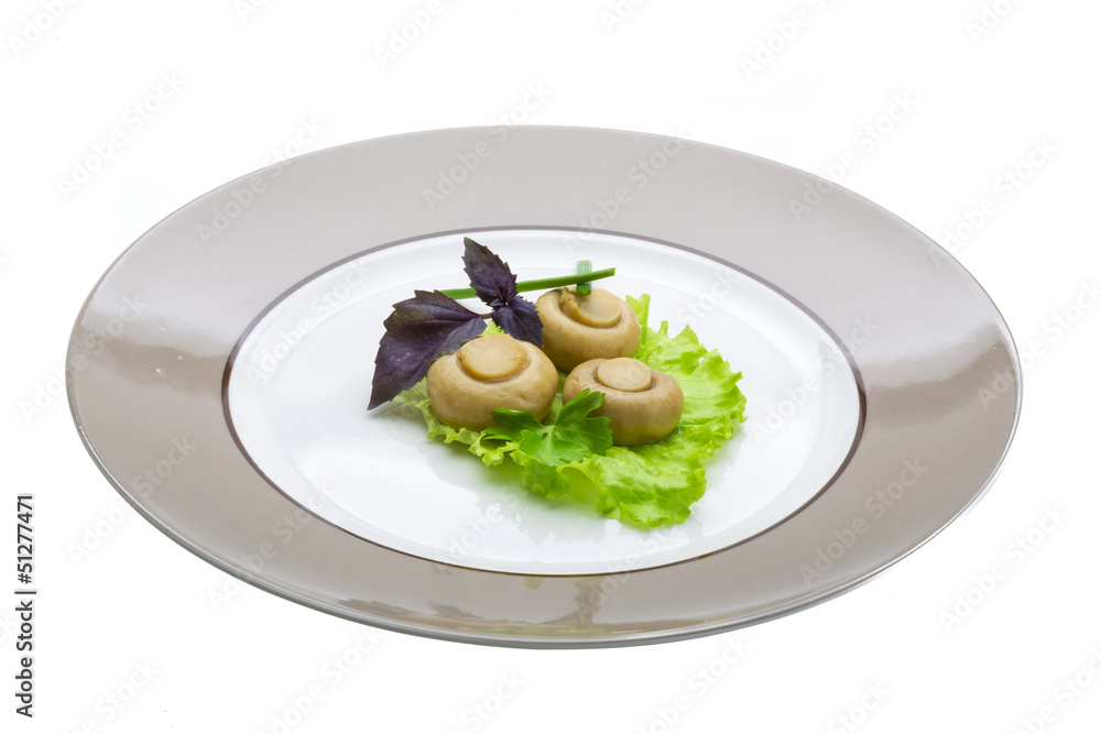 Ripe fresh Champignon Ripe fresh Champignon