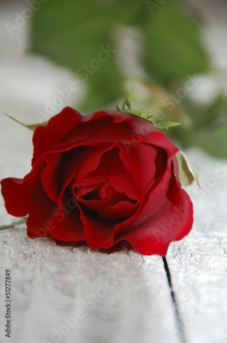 Grußkarte - Eine rote Rose