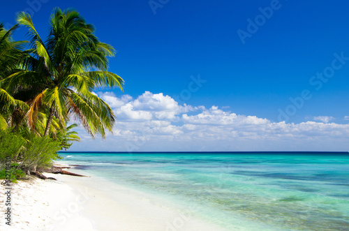Tropical sunny beach and coconut palms. Summer vacation and tropical beach concept.