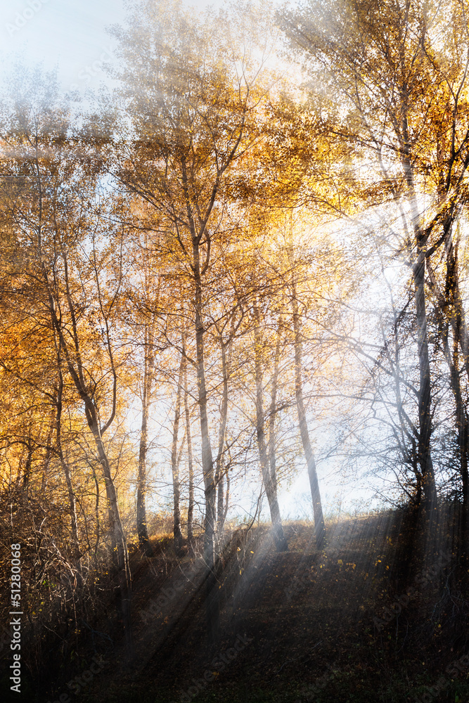 Bright rays Bright rays