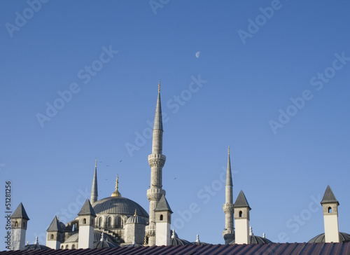 Blue Mosque roof with clear sky and moon.