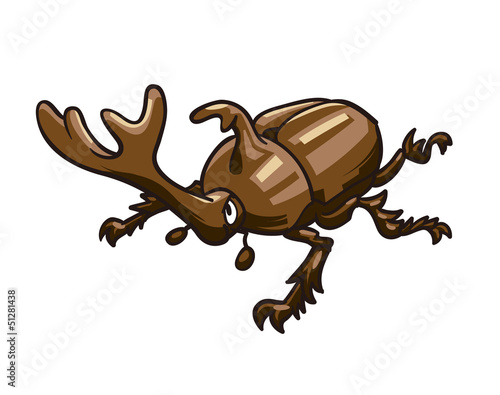 カブトムシ