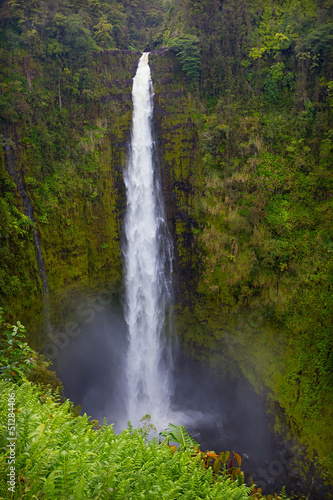 Akaka Falls, Big Island, Hawaii © abramskaya