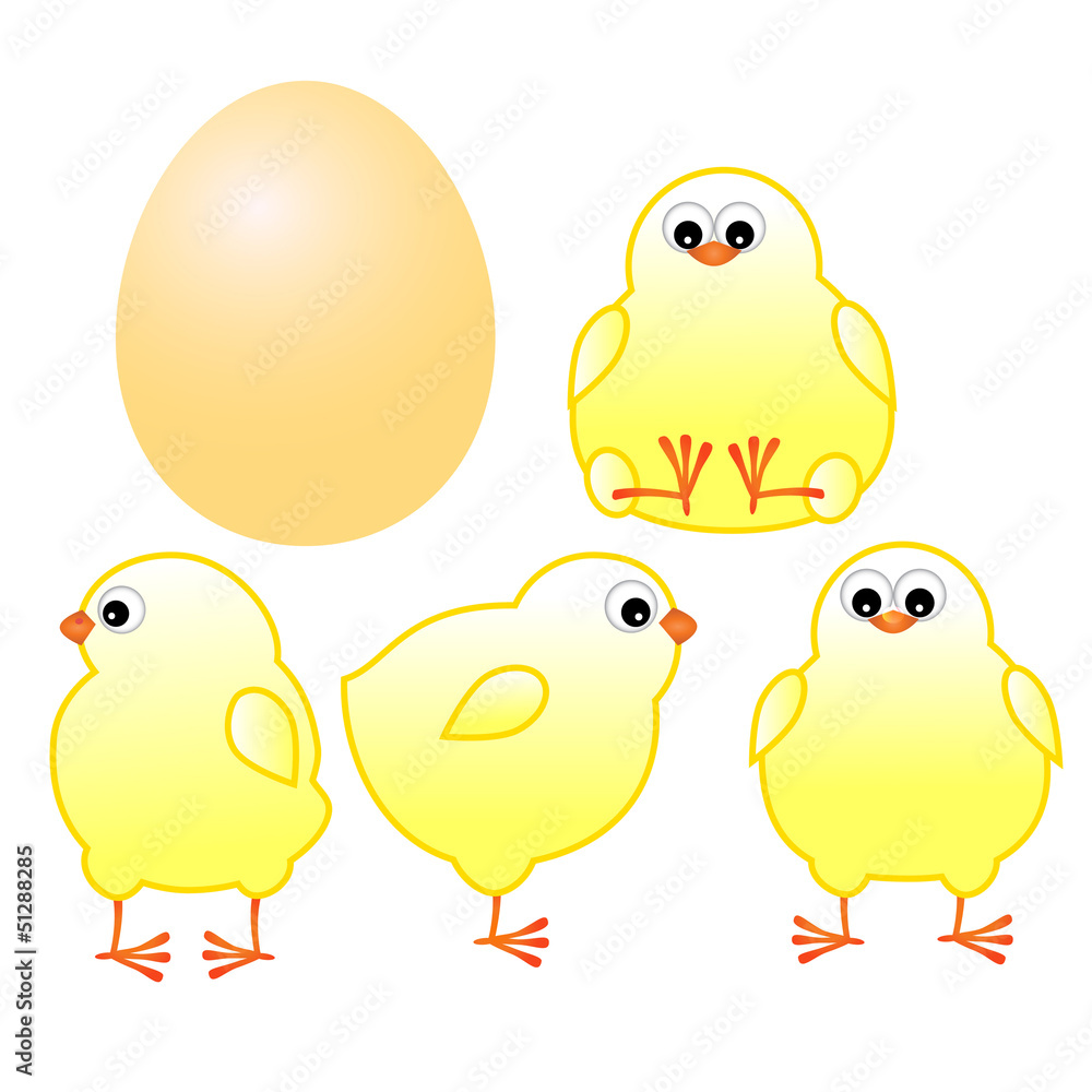 chicks with yellow egg chicks with yellow egg