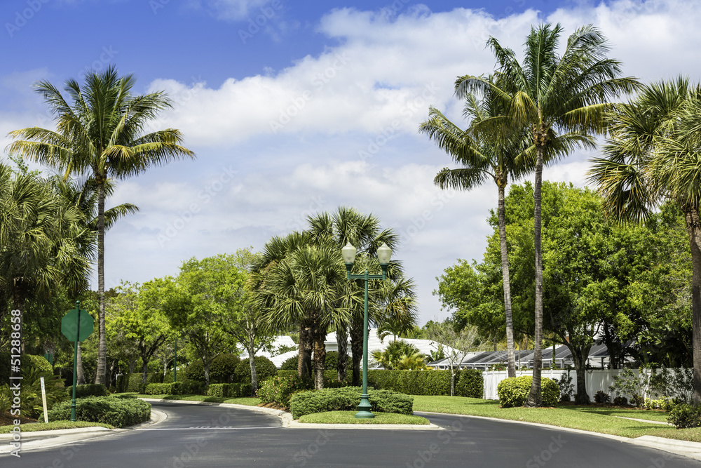 Fototapeta premium Traditional community road in Naples, Florida