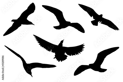 Silhouette of the birds on white background © WORANAN-TH