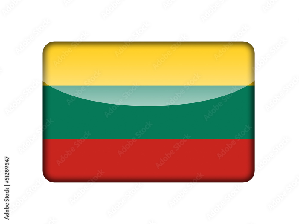 The Lithuanian flag The Lithuanian flag