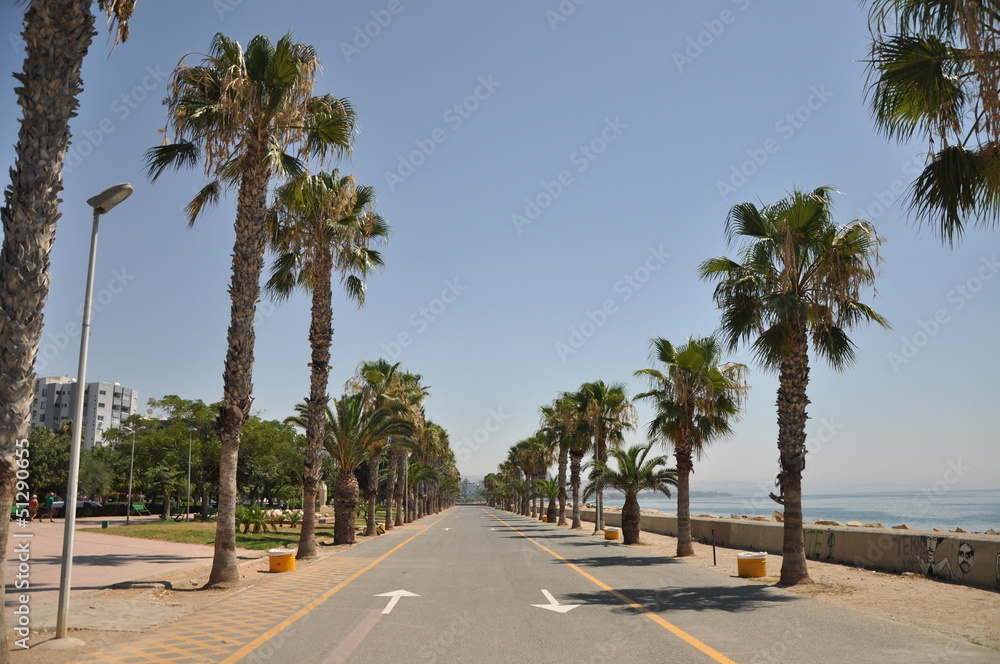 дорога Кипра, road, cyprus, palms, empty road, summer, street, traveling, summer heat 