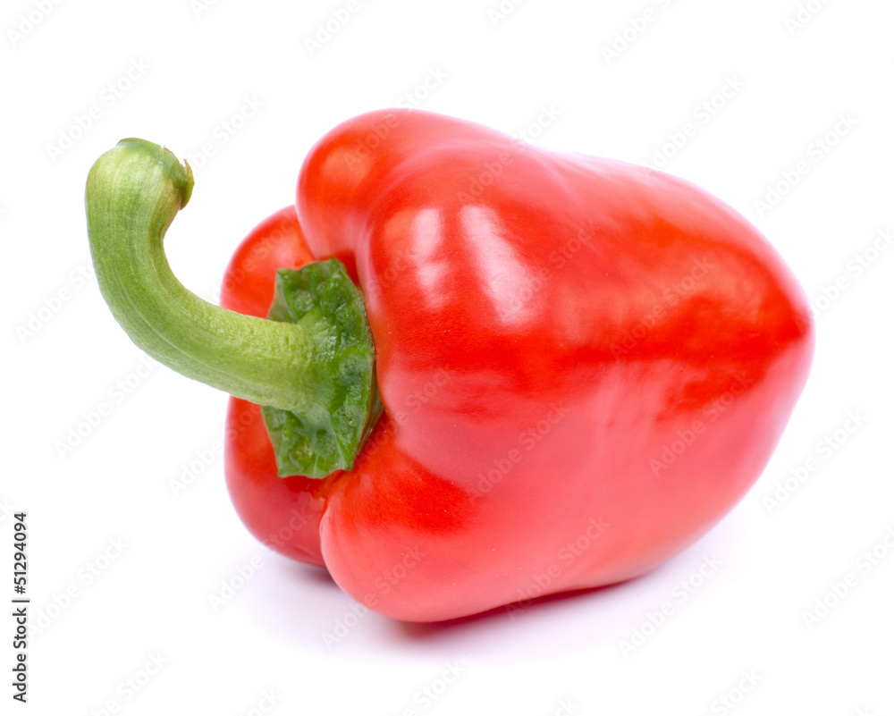 Paprikaschote Paprikaschote