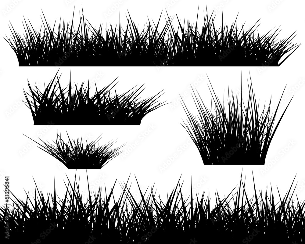 Silhouette of grass on white background Silhouette of grass on white background