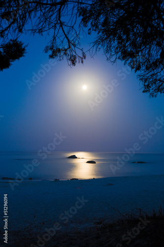 Paesaggio Notturno Marino con la Luna piena