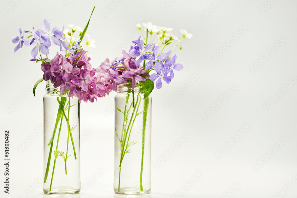 Fototapeta premium Beautiful spring flowers