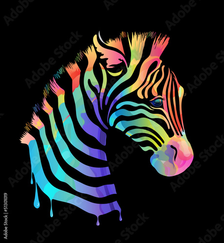 Colored zebra on black