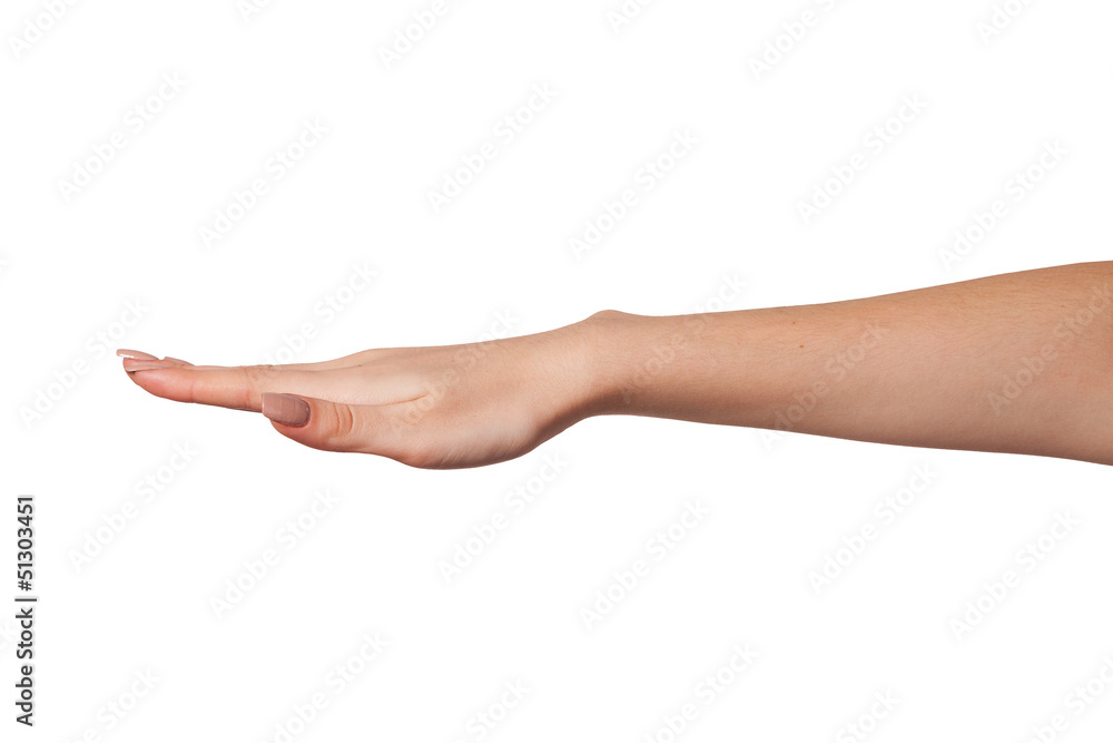 Open palm hand gesture of Female hand Open palm hand gesture of Female hand