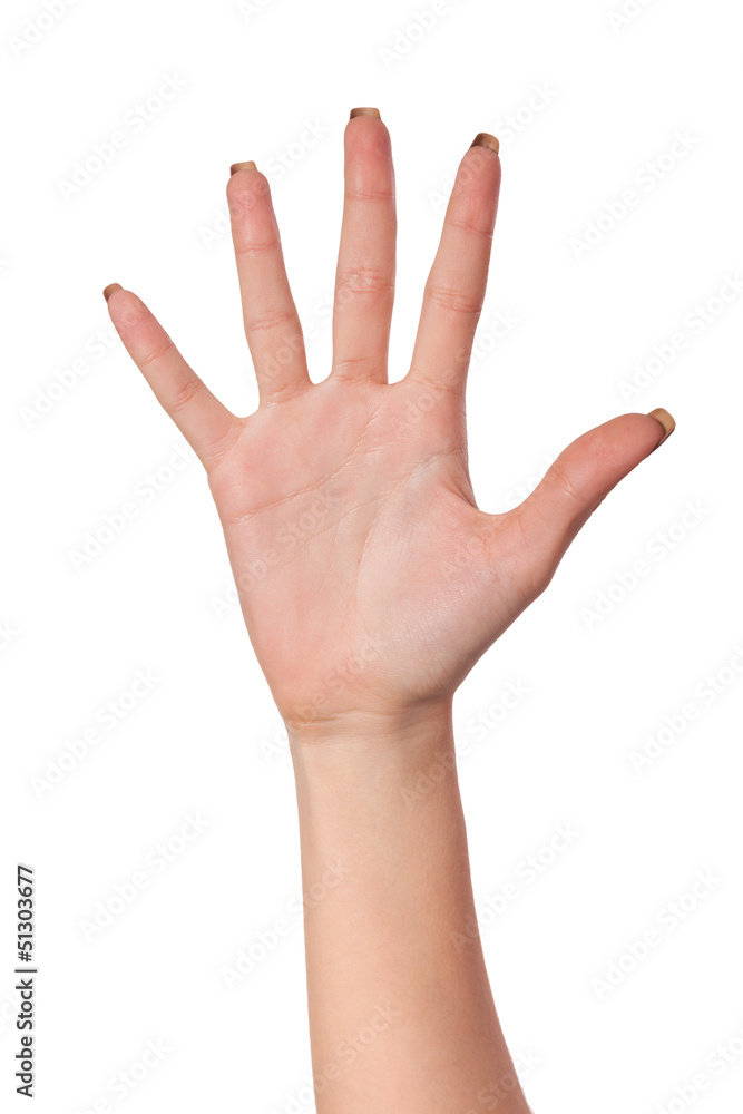 Hand gesture number five closeup isolated on white Hand gesture number five closeup isolated on white