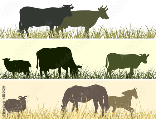 Horizontal illustration of farm pets.