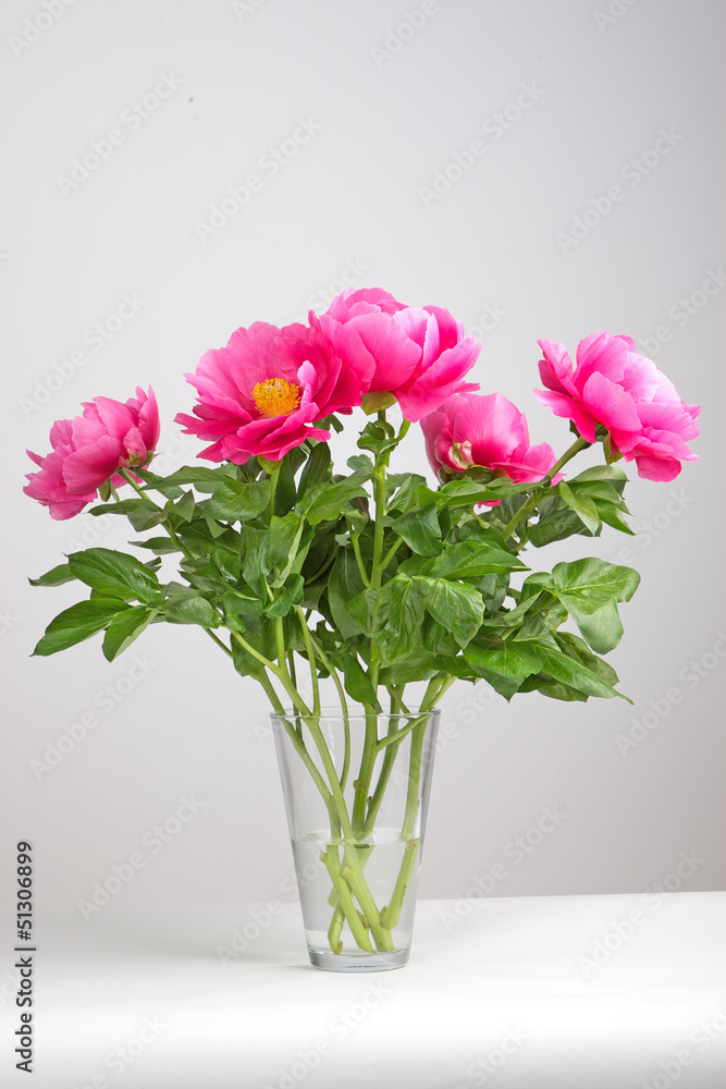 Fototapeta premium Vase with peony roses