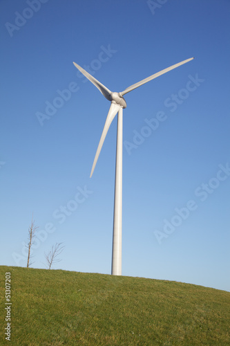 Windturbines in grass field with a clear blue sky