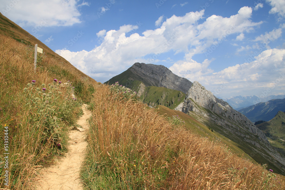 Naklejka premium montagne