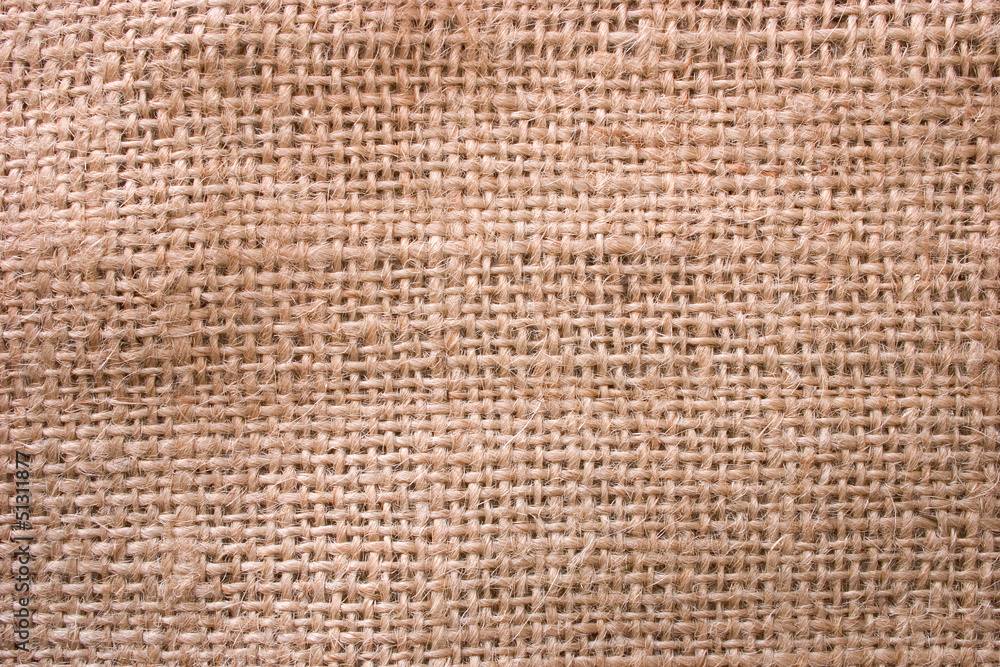 Bag exportation (Texture) Bag exportation (Texture)