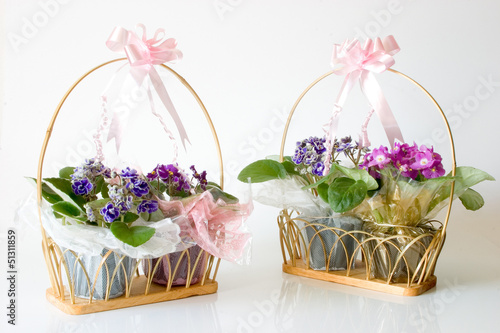 African Violets  - Basket gifts