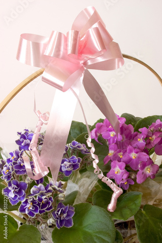 African Violets - Basket gift