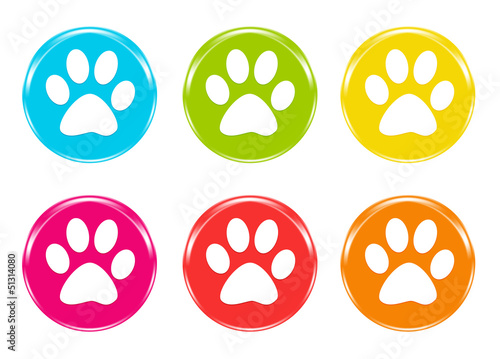 Iconos de colores con huellas de mascota