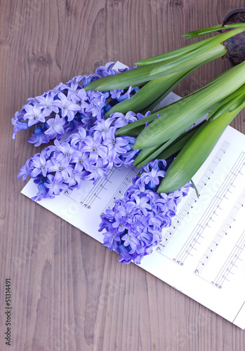 Blue hyacinth with note sheet