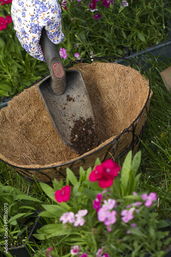 Fototapeta Naklejka Na Ścianę i Meble -  a gardener dumps some potting soil in a basket