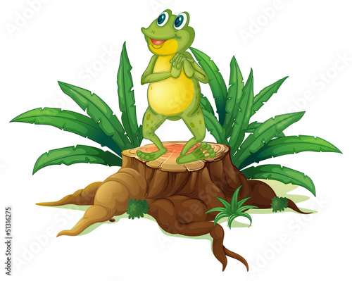 Fototapeta Naklejka Na Ścianę i Meble -  A frog standing above a trunk