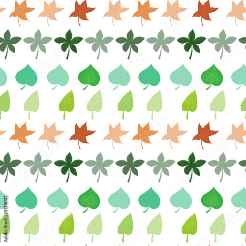 Different kinds of leaves