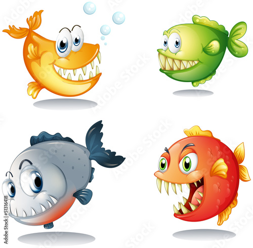 Four different kinds of fishes with big fangs